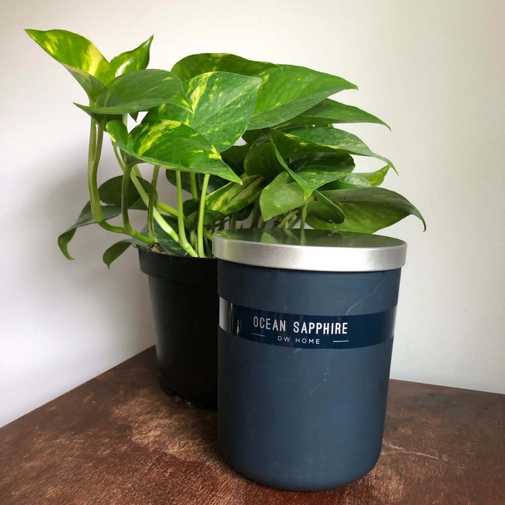 DW Home Candle - Ocean Saphire